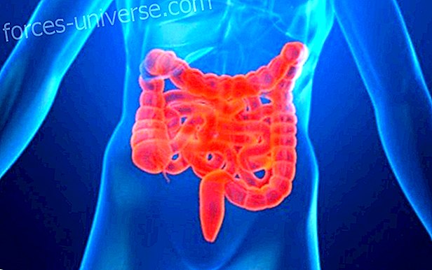 Quel est le traitement alternatif de la maladie de Crohn?, Par le Dr Elena Bejarano - Vie consciente