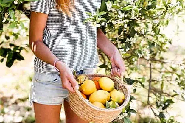 Tips Sederhana untuk Menghilangkan Energi Negatif dengan Lemon, Anda akan terkesan!