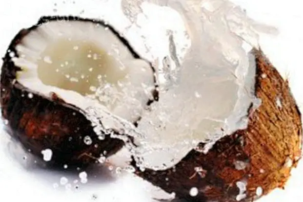 Kokosnøt vann: Ernæringsmessige og medisinske egenskaper - Bevisst liv