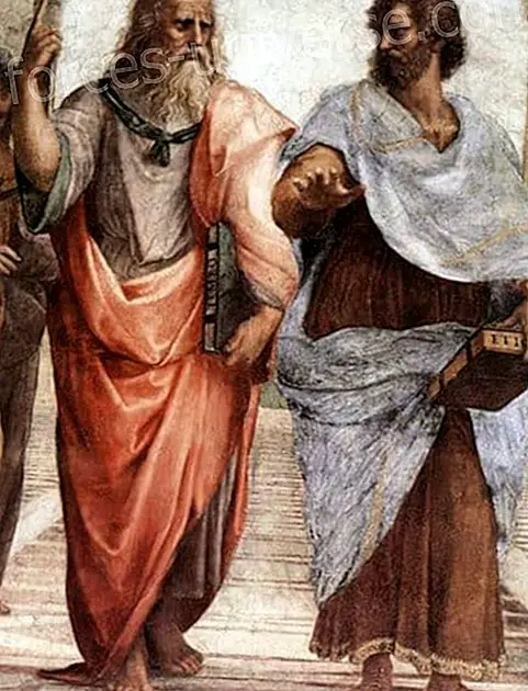 Platon: Myten om hulen - Bevidst liv