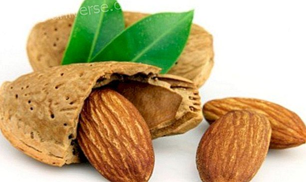 Almonds: isang mahiwagang pagkain? - Buhay ng Malay