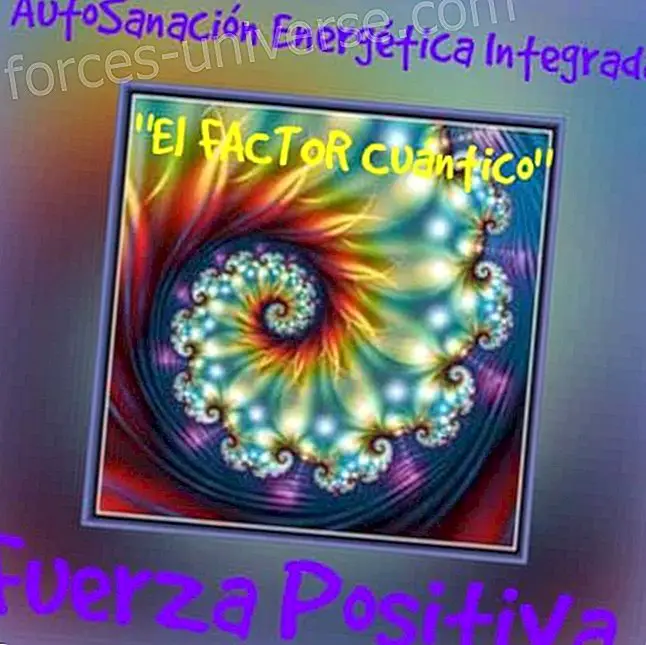 Integreeritud energiaparandus / kvantmetafüüsika autor Marisa Ordo  ez / Positiivne jõud - Teadlik elu