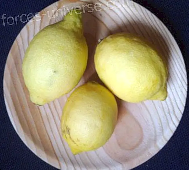Imelise sidruni eelised, autor María Desir  Santana - Teadlik elu