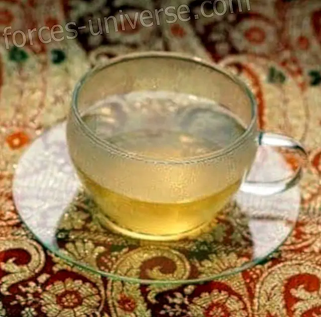Kombucha Tea: Ominaisuudet ja edut - Tietoinen elämä