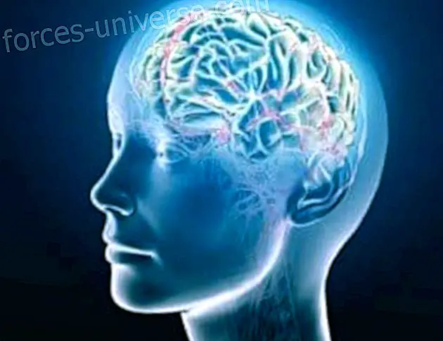 Frekuensi otak dan kondisi kesadaran - Kehidupan Sadar