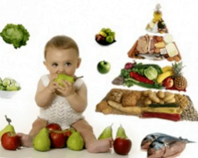 Fördelar för vår hälsa med hela livsmedel - Medvetet liv