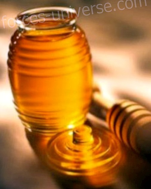 Kaneel en honing, een perfecte mix voor het genezen van ziekten- Bewust leven - 