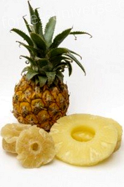 Elleve dagers diett med ananas: rens blod, tarmer, hud og lever, og legg kroppen din - Bevisst liv