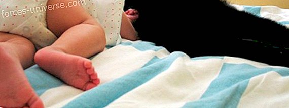 Protegir les natges del nadó amb aromateràpia - vida Conscient