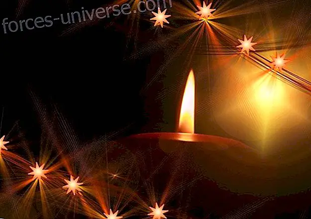 Holly to wake up universal love - Conscious Life