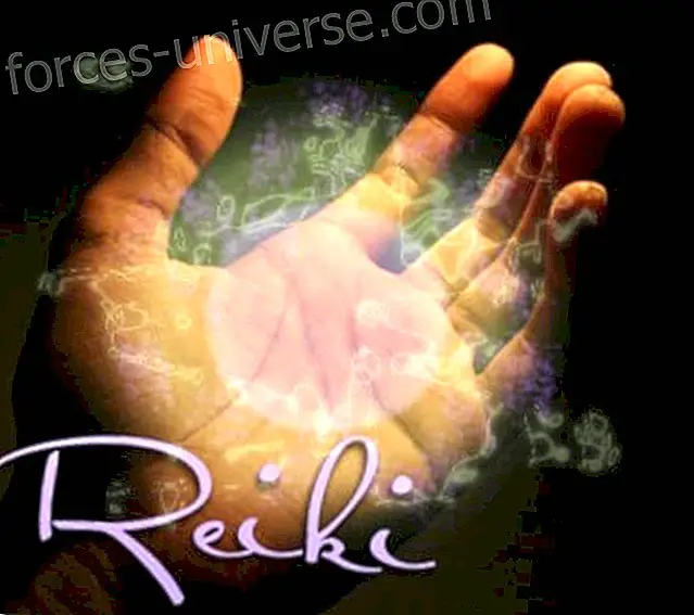 Reiki and The Light of the Universe - Conscious Life